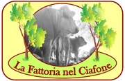 La fattoria nel Ciafone